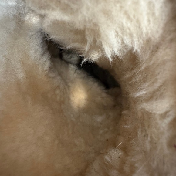 UGG Australia Tall Lace Up Sheepskin Lined Boots Women Size 8 Gray Suede - Picture 10 of 12